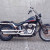 Softail Springer